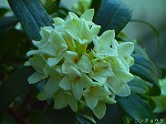 20070322 17.jpg